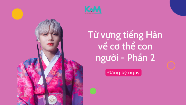 Từ vựng tiếng Hàn về cơ thể người (Part 2): Cơ thể con người