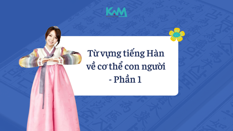 Từ vựng tiếng Hàn về cơ thể người (Part 1): Gương mặt